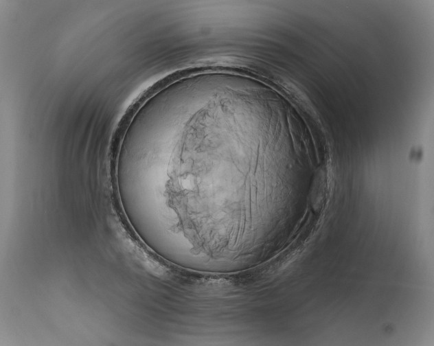 X0000111170784200907151258