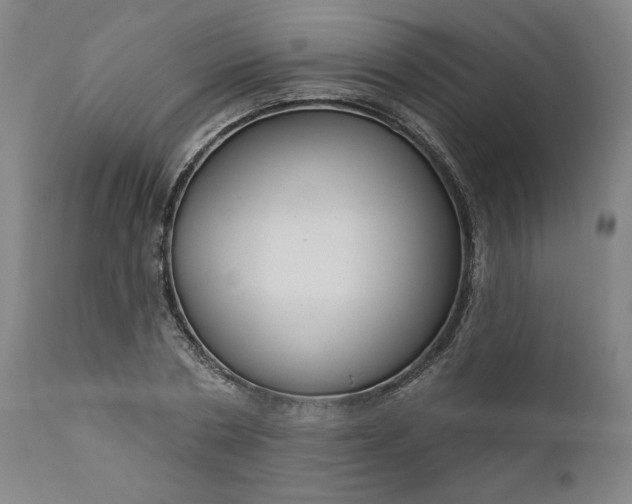 X0000111170786200907151258