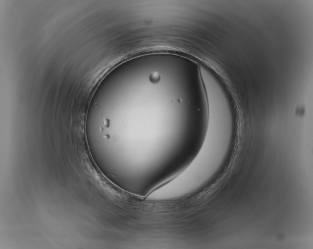 X0000111170793200907151257