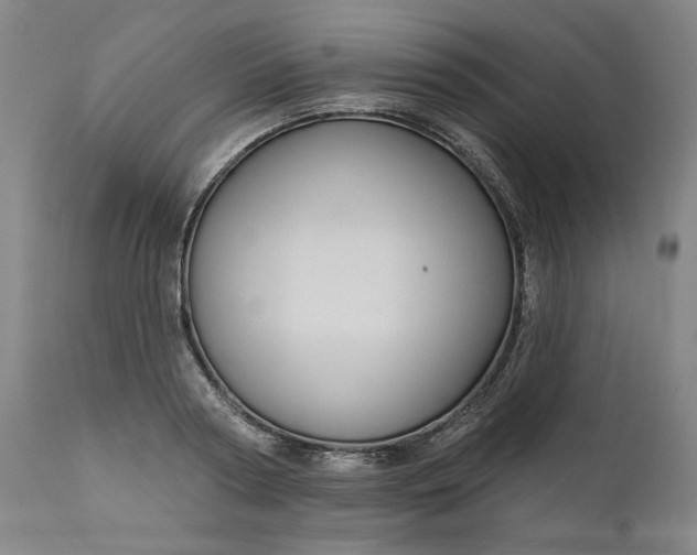 X0000111170794200907151257