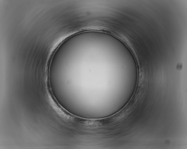 X0000111170795200907151257