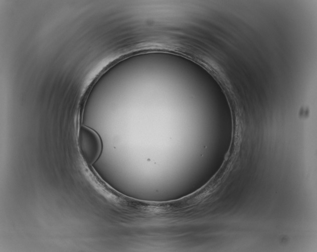 X0000111170796200907151257