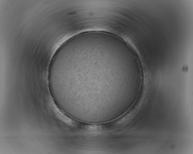 X0000111170797200907151257