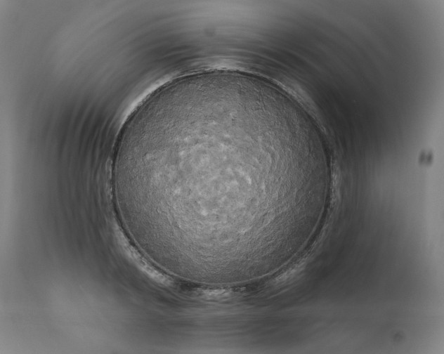 X0000111170798200907151257