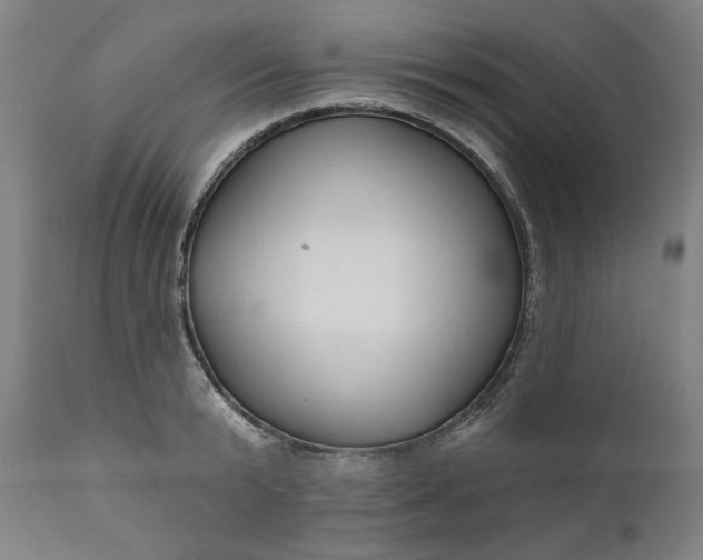 X0000111170799200907151257