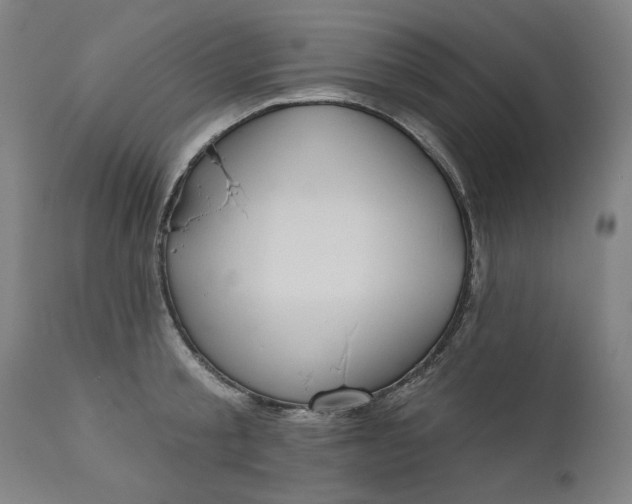 X0000111170805200907151257