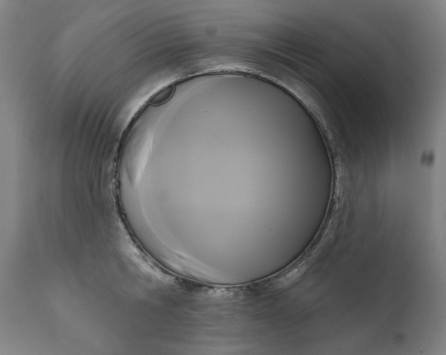 X0000111170806200907151257