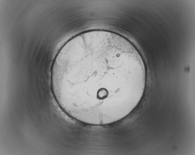 X0000111170807200907151257