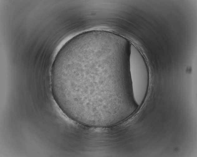 X0000111170808200907151257