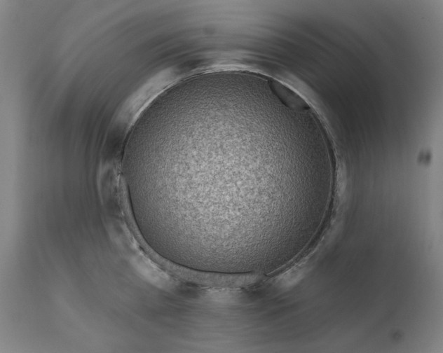 X0000111170809200907151257