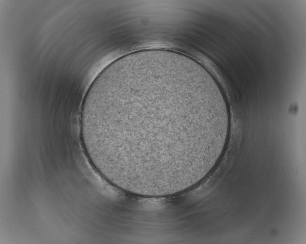 X0000111170810200907151257