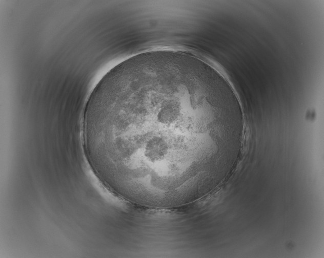 X0000111170811200907151257