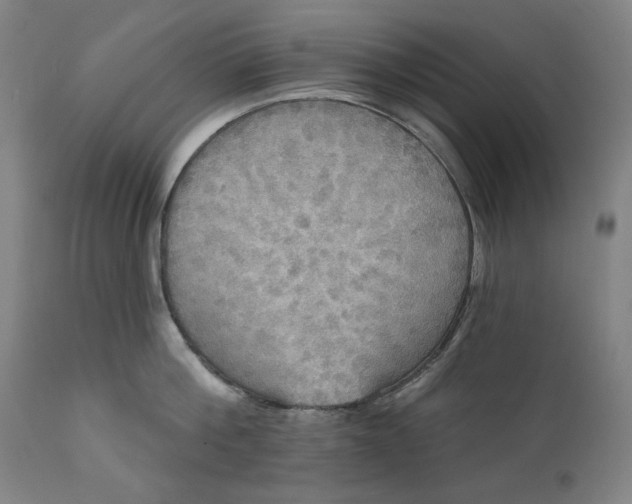 X0000111170812200907151257