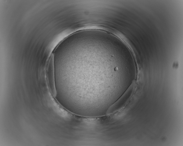 X0000111170813200907151257