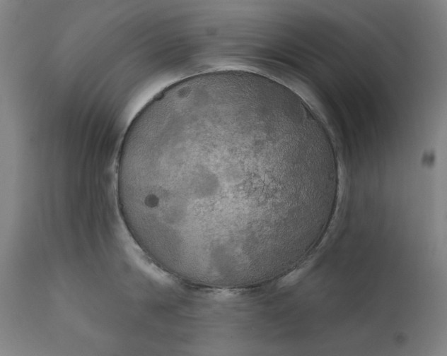 X0000111170814200907151257