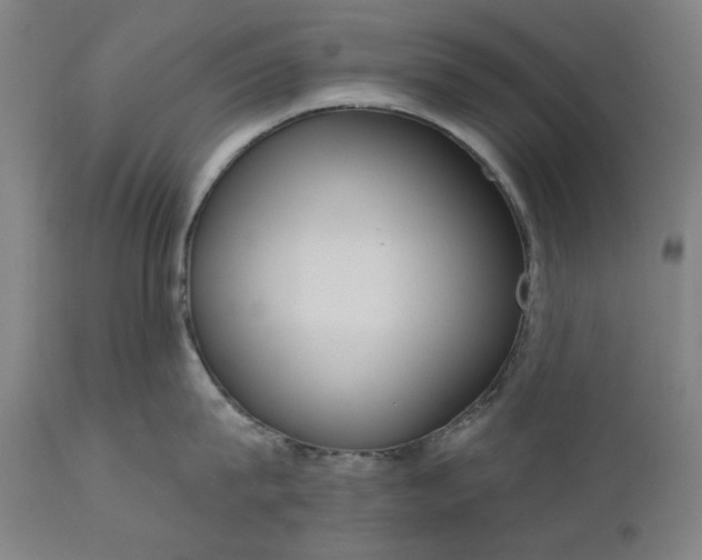 X0000111170815200907151257