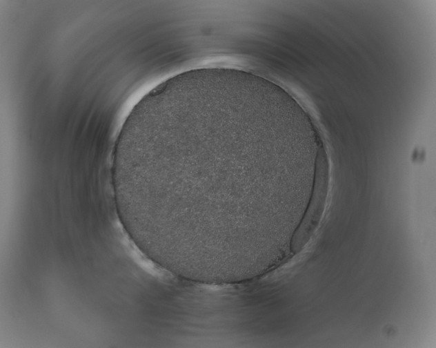 X0000111170816200907151257