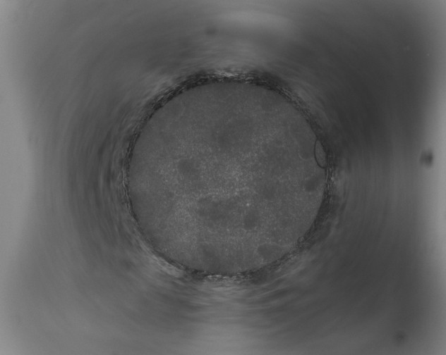 X0000111170817200907151256