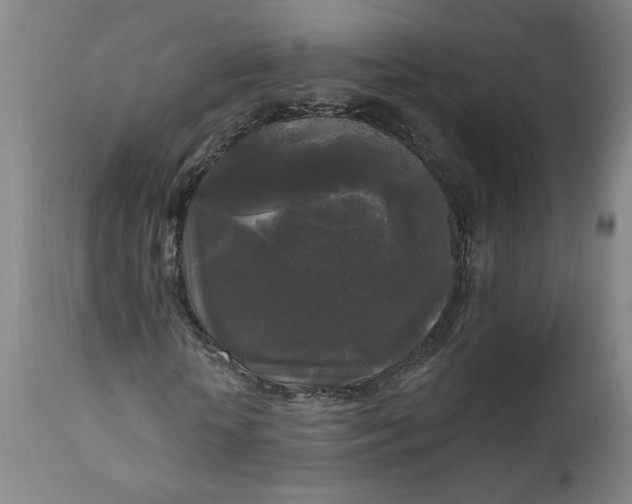 X0000111170818200907151256