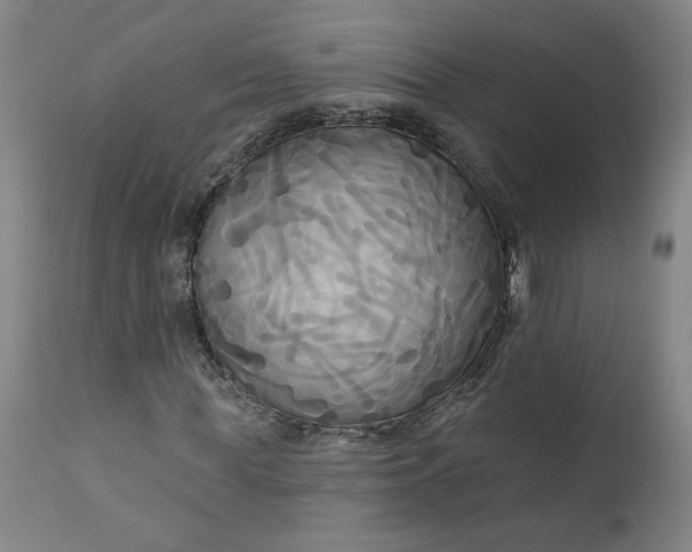 X0000111170819200907151256