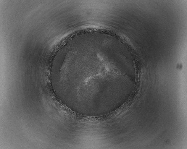 X0000111170822200907151256