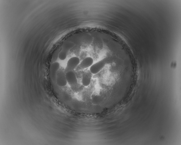 X0000111170823200907151256