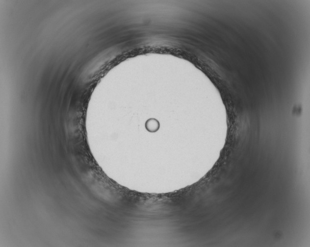 X0000111170824200907151256