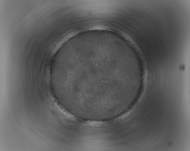 X0000111170825200907151256