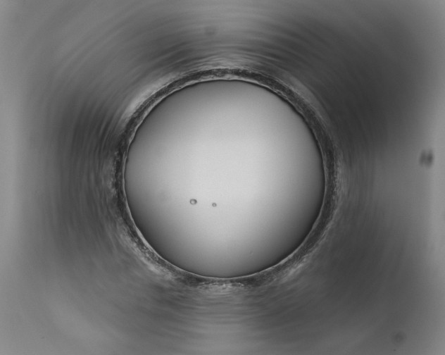 X0000111170826200907151256