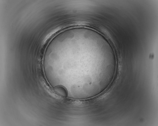 X0000111170827200907151256