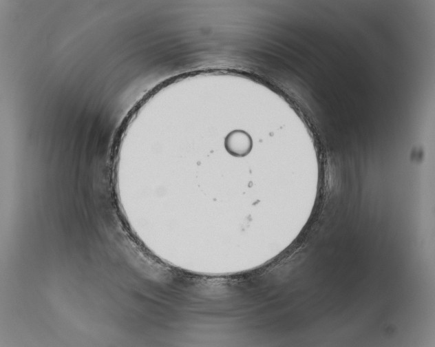 X0000111170828200907151256