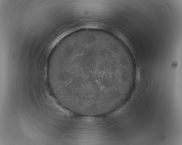 X0000111170829200907151256