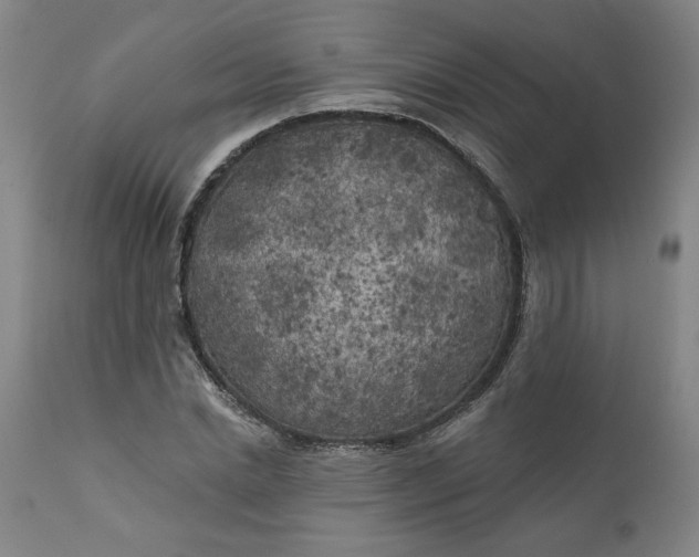 X0000111170830200907151256