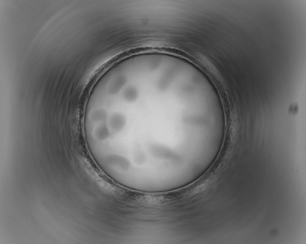 X0000111170831200907151256