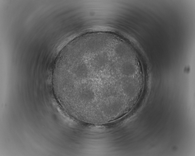 X0000111170833200907151256