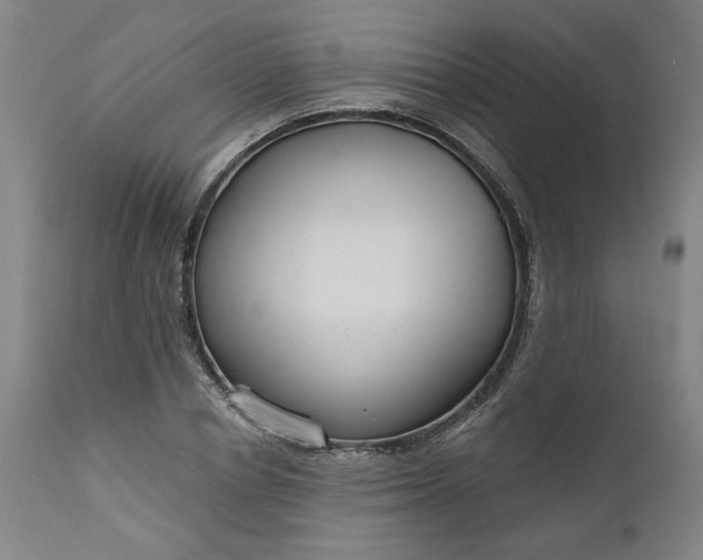 X0000111170834200907151256