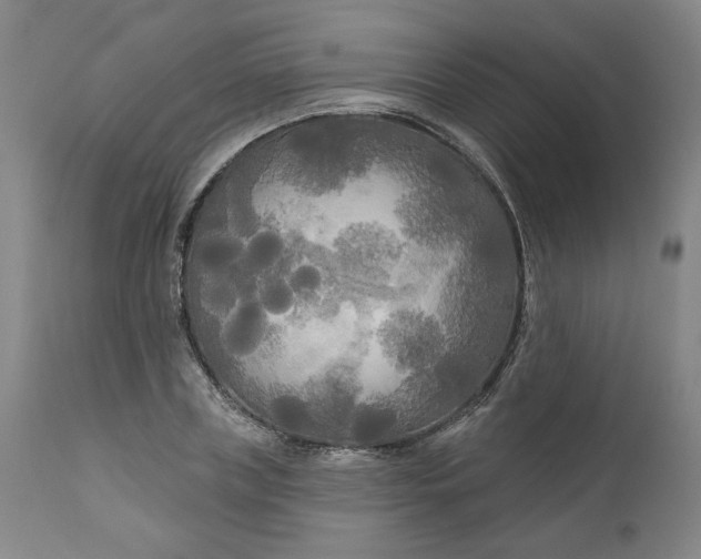 X0000111170835200907151257