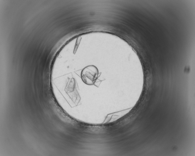 X0000111170836200907151257