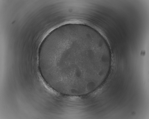 X0000111170837200907151257