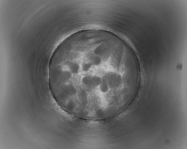 X0000111170839200907151257