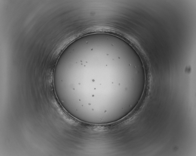 X0000111170841200907151257