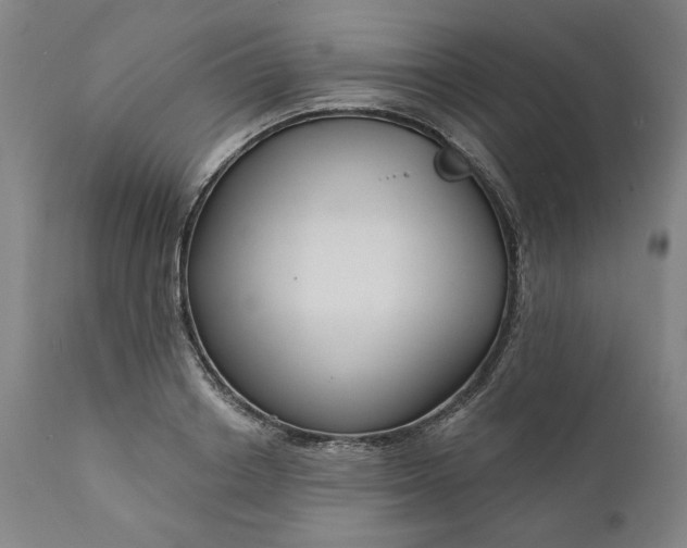 X0000111170842200907151257