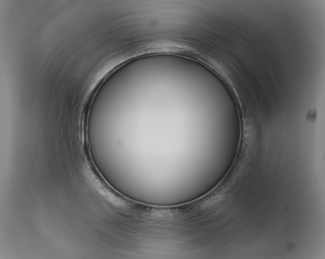 X0000111170843200907151257