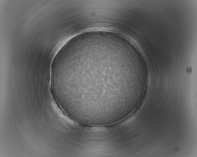 X0000111170844200907151257