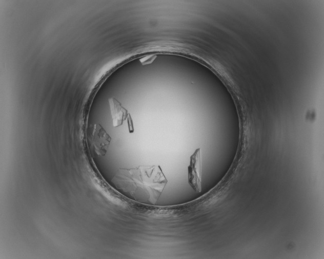 X0000111170846200907151257