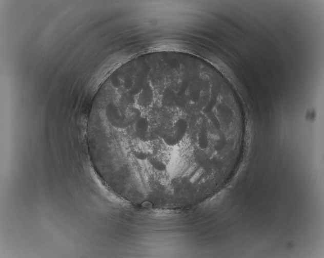 X0000111170849200907151257