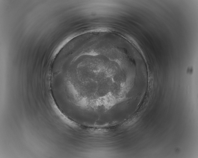 X0000111170851200907151257