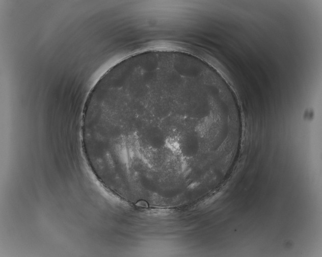 X0000111170853200907151257