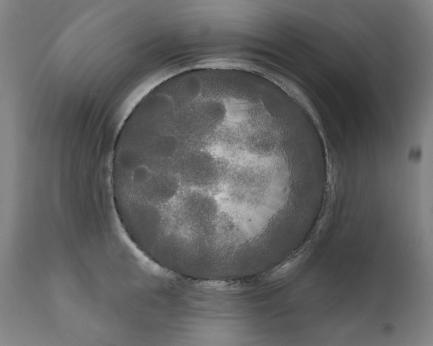 X0000111170855200907151257