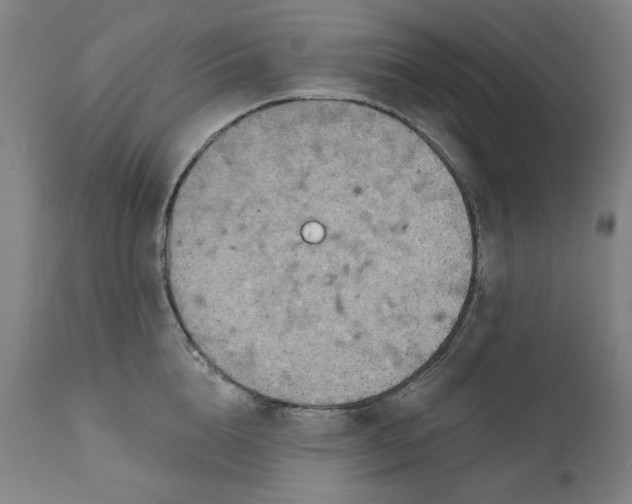 X0000111170856200907151257